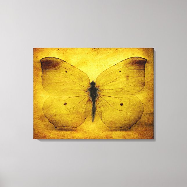 Lienzo Mariposa amarilla vintage (Anverso)