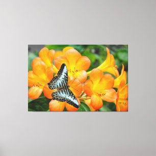 Lienzo Mariposa azul con Rododendrón tropical