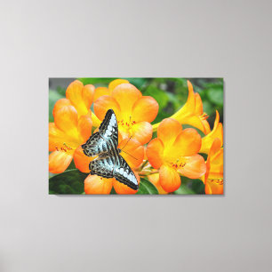 Lienzo Mariposa azul con Rododendrón tropical