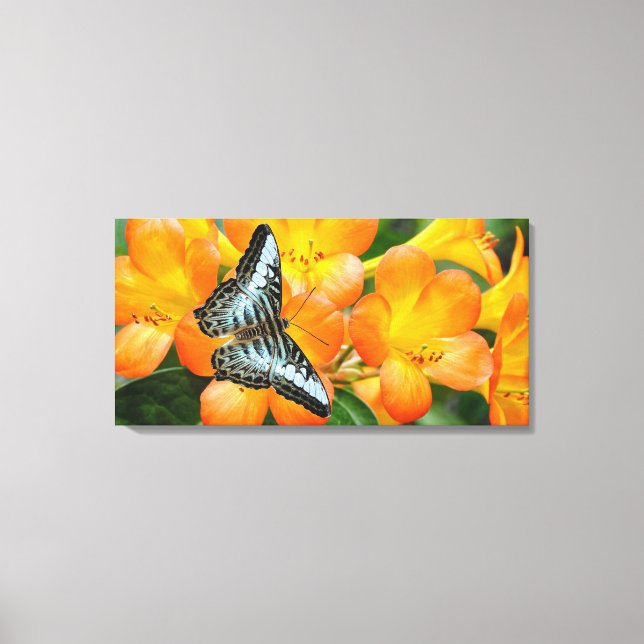 Lienzo Mariposa azul con Rododendrón tropical (Anverso)