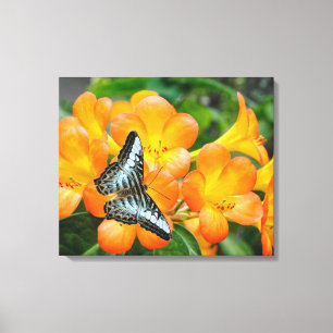 Lienzo Mariposa azul con Rododendrón tropical