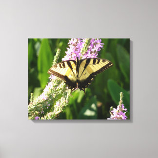 Lienzo Mariposa Cola de Golondrina en Flores Silvestres P