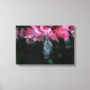 Lienzo Mariposa colgando de flores