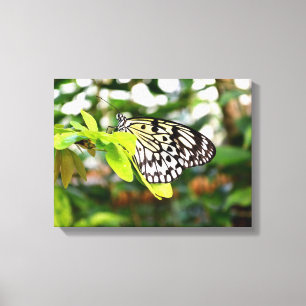 Lienzo Mariposa cometa de papel
