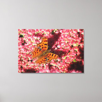 Lienzo Mariposa Comma en Sedum