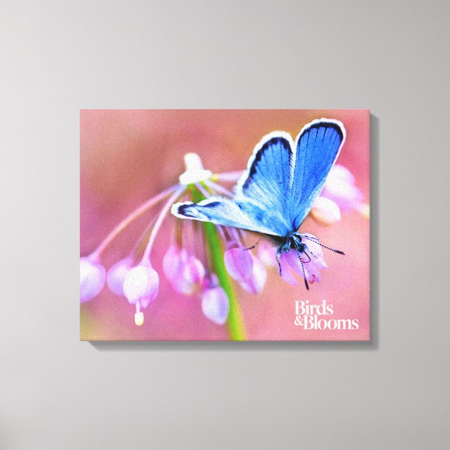 Lienzo Mariposa de Azure (Anverso)