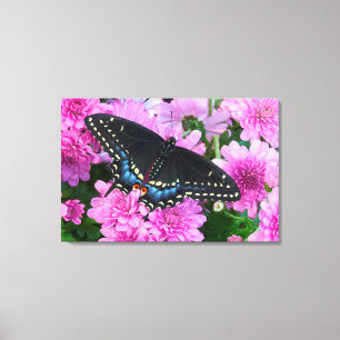 Lienzo Mariposa de Baltimore de Cuadros