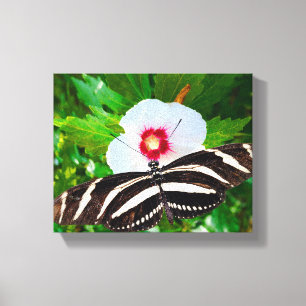 Lienzo Mariposa de cebra con corazón rojo hibiscus