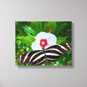 Lienzo Mariposa de cebra con corazón rojo hibiscus