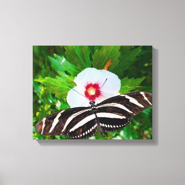 Lienzo Mariposa de cebra con corazón rojo hibiscus (Anverso)