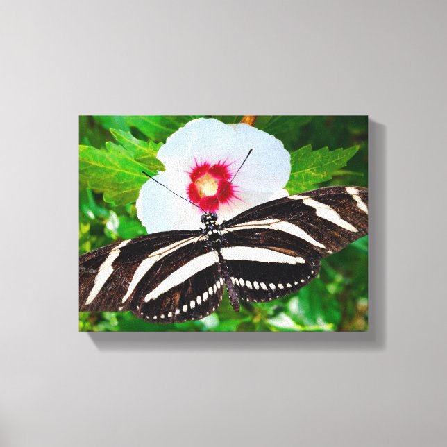 Lienzo Mariposa de cebra con corazón rojo hibiscus (Anverso)