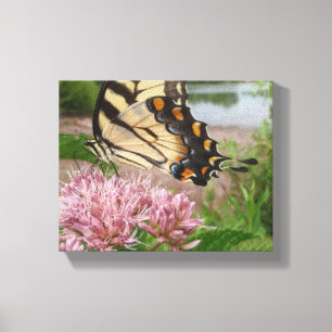 Lienzo Mariposa de cola cruda tigre en Milkweed
