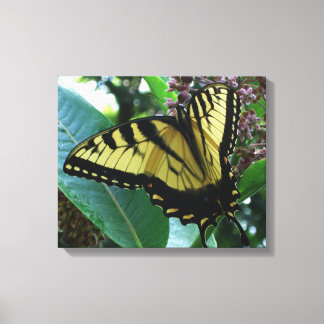 Lienzo Mariposa de cola torta I en Milkweed en Shenandoah