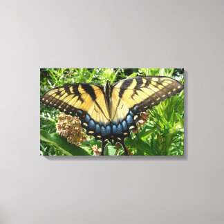Lienzo Mariposa de cola torta II en Shenandoah