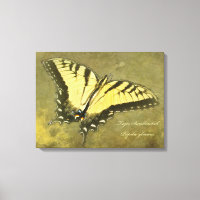 Mariposa de cola tortuga de tigre - Papilio glaucu