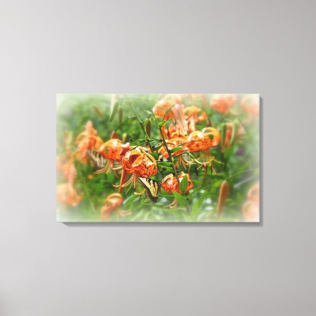 Lienzo Mariposa de cola tortuosa de tigre en los caparazo (Anverso)