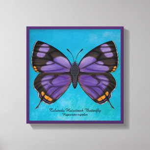 Lienzo Mariposa de Colorado Hairstrek