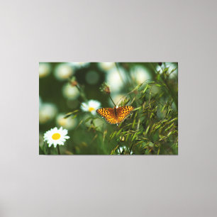 Lienzo Mariposa de Fritillary del Pacífico