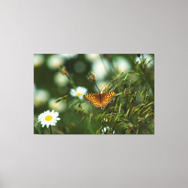 Lienzo Mariposa de Fritillary del Pacífico (Anverso)