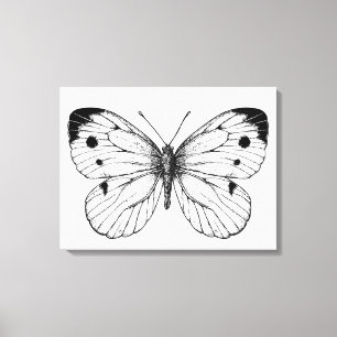 Lienzo Mariposa de la col