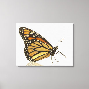 Lienzo Mariposa de monarca