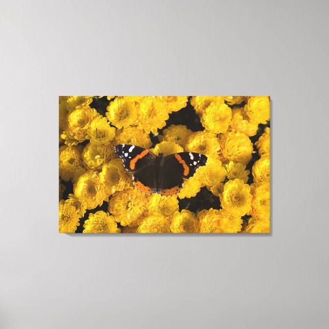 Lienzo Mariposa en astros amarillos (Anverso)