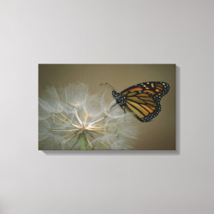 Lienzo Mariposa en el diente de león