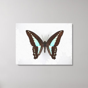 Lienzo Mariposa en fondo del papel pintado
