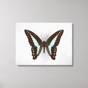 Lienzo Mariposa en fondo del papel pintado