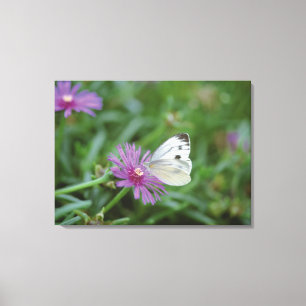 Lienzo Mariposa en la flor
