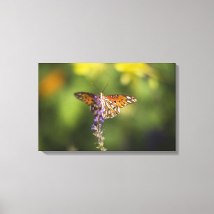 Lienzo Mariposa en wildflowers