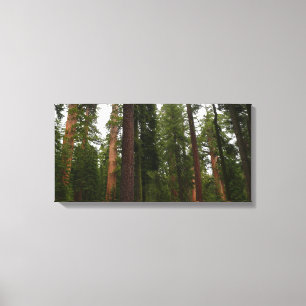 Lienzo Mariposa Grove en el Parque Nacional Yosemite