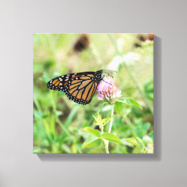 Lienzo Mariposa monarca