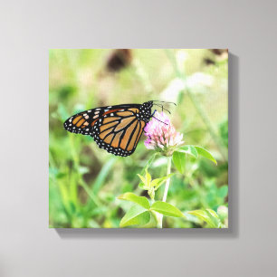Lienzo Mariposa monarca