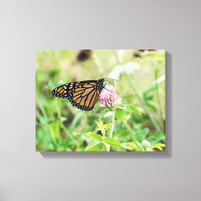 Lienzo Mariposa monarca (Anverso)
