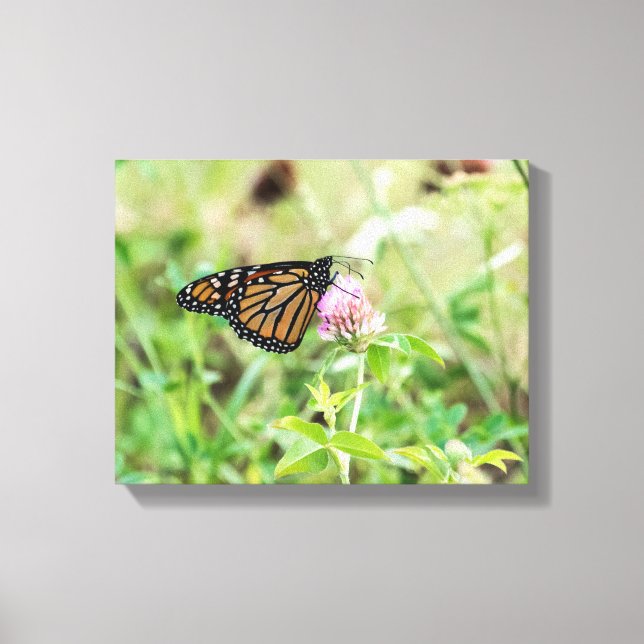Lienzo Mariposa monarca (Anverso)