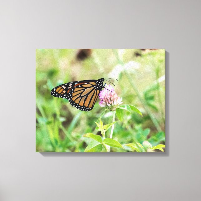 Lienzo Mariposa monarca (Anverso)