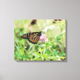Lienzo Mariposa monarca