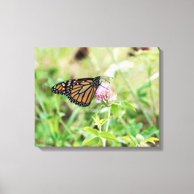 Lienzo Mariposa monarca (Anverso)