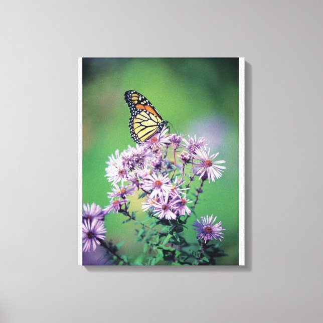 Lienzo Mariposa monarca (Anverso)