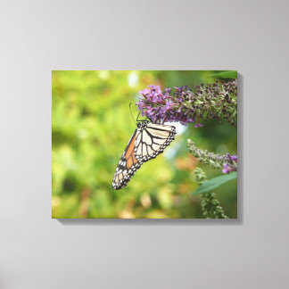 Lienzo Mariposa Monarca en Arbusto de Mariposas Púrpura