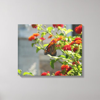 Lienzo Mariposa Monarca en Buddleja Roja
