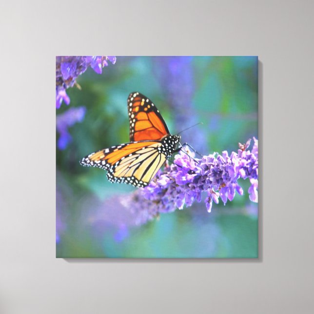 Lienzo Mariposa monarca en la flor de lilo púrpura (Anverso)
