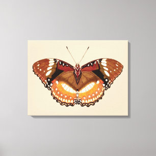 Lienzo Mariposa monarca en marrón, roya y crema