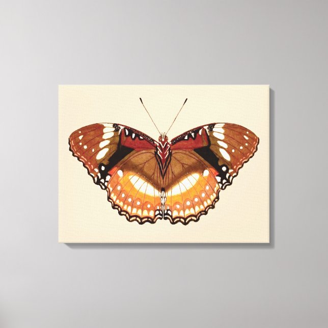 Lienzo Mariposa monarca en marrón, roya y crema (Anverso)