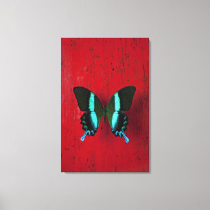 Lienzo Mariposa negra y azul en la pared roja