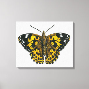 Lienzo Mariposa pintada