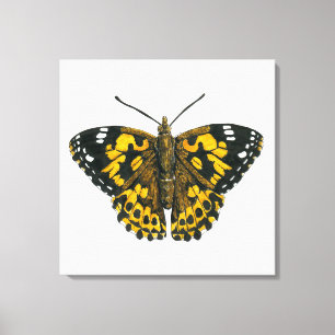 Lienzo Mariposa pintada