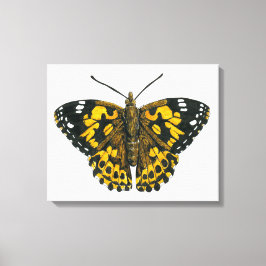 Lienzo Mariposa pintada señora