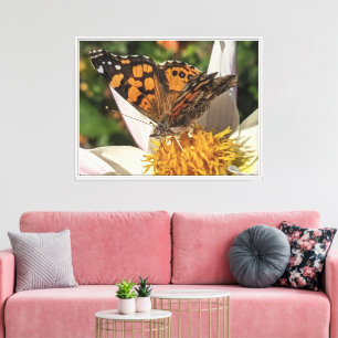 Lienzo Mariposa Pintada Señora Sobre Dahlia Blanca